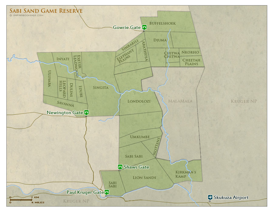 Sabi Sands oroszlánfalkái 2024 január
