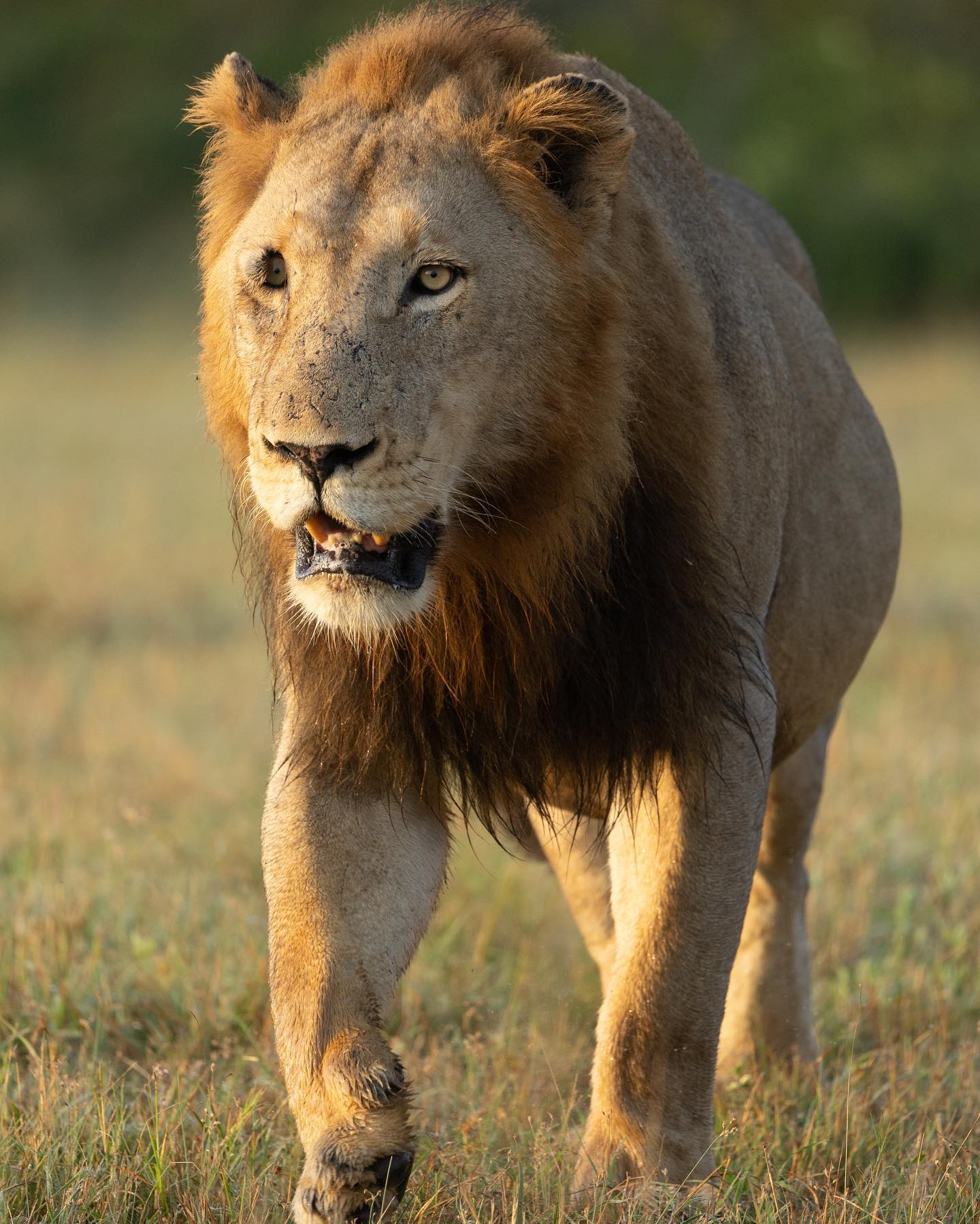 Nkuhuma